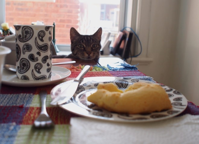 One chipa is resting on a small plate with a cup of coffee in front of it. A cat is sitting across, resting his head on the table and staring at the chipa.
